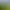 Un jardin avec une balançoire en bois, des transats blancs et une vue sur des maisons en colline