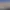 Un poisson entier grillé, garni de sauce verte, d'olives et de légumes, servi sur un lit de ratatouille et décoré de gouttes de sauce