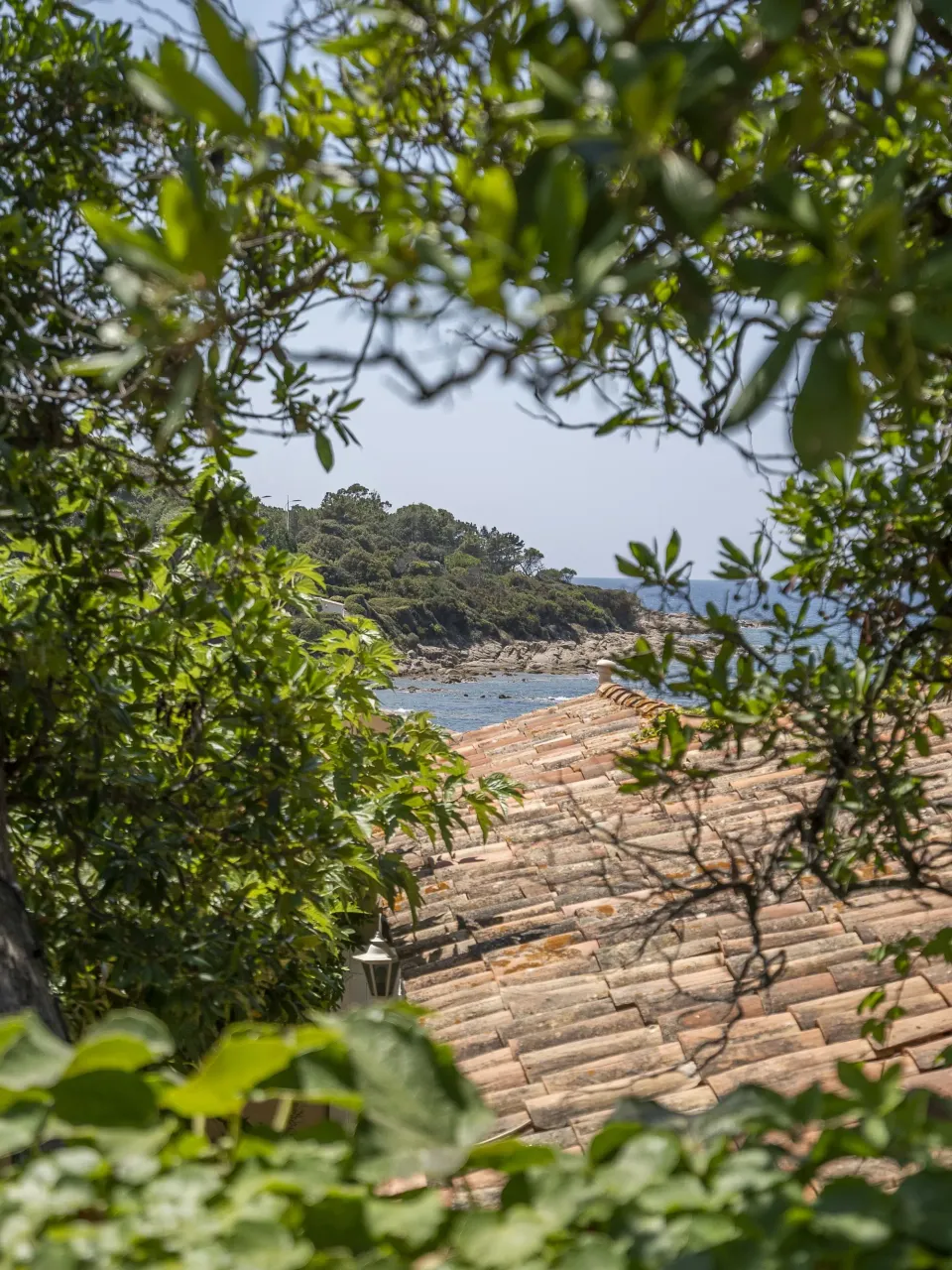 Un mur de briques avec des feuilles vertes en premier plan et une petite île boisée au loin dans la mer